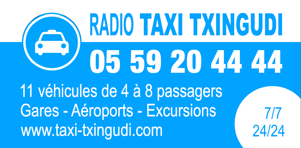 Radio Taxi Txingudi  France Nouvelle-Aquitaine Pyrénées-Atlantiques Hendaye 64700