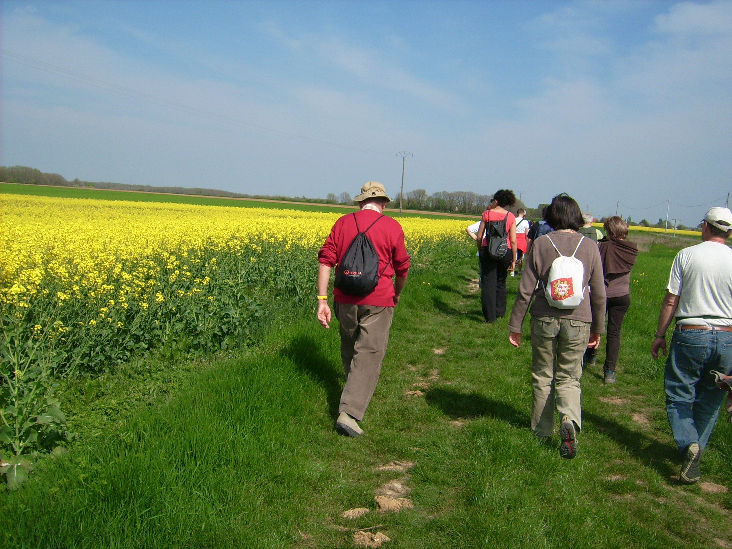 Balade nature "à l'éveil et au ressentis de nos 5 sens"
