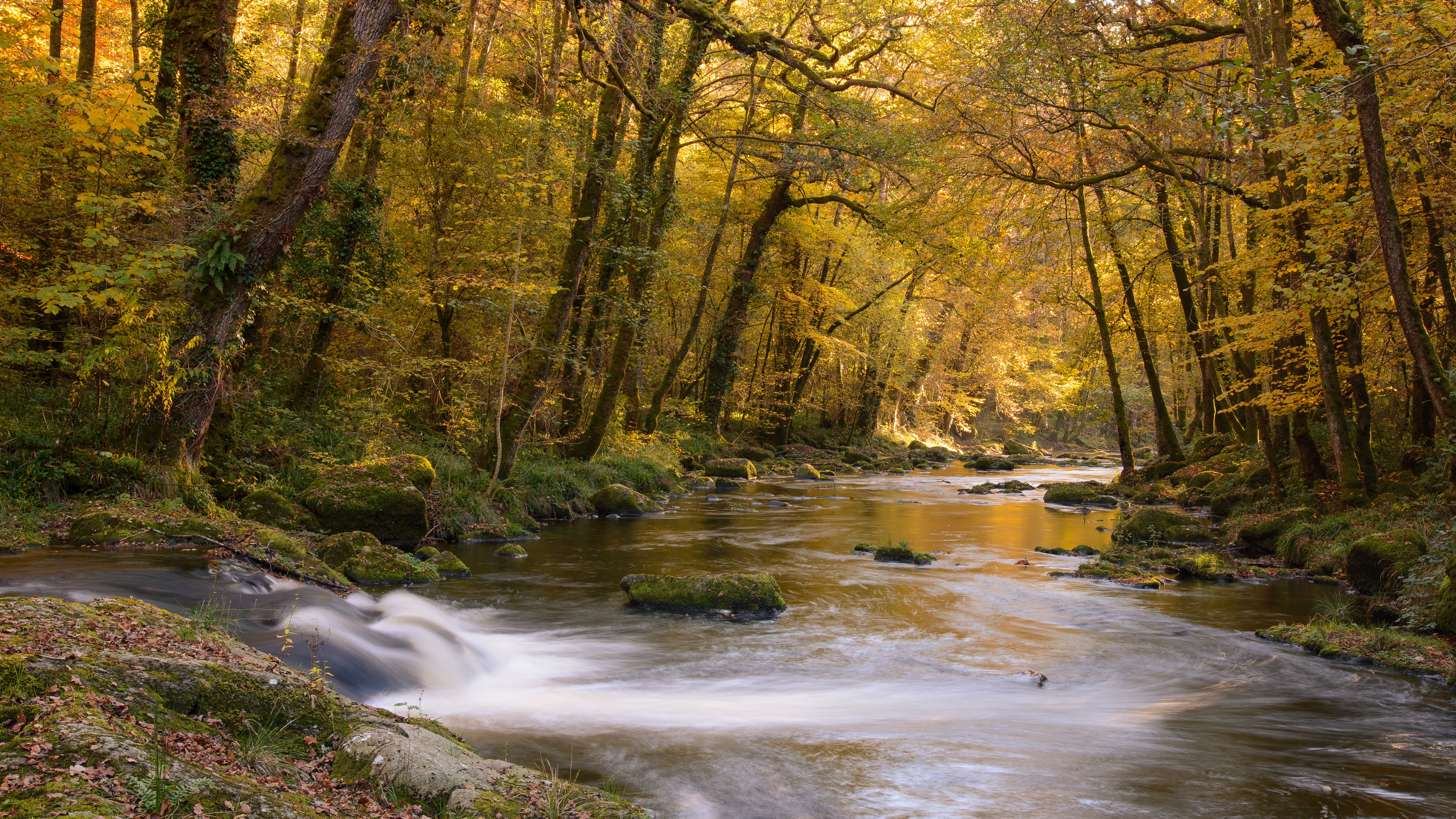 Le Saut de la Virole