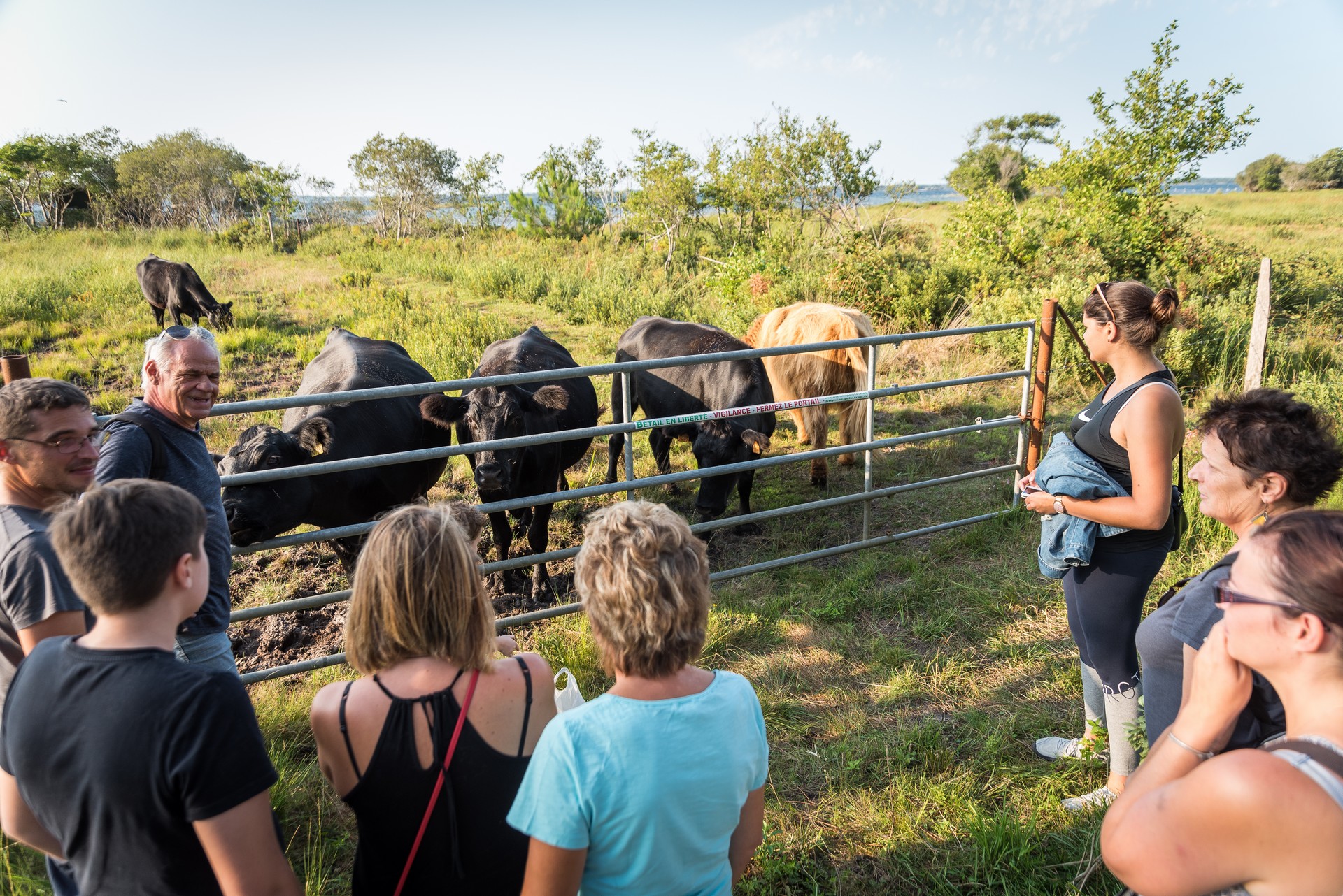 Découverte des prairies au bord du lac de Sanguinet