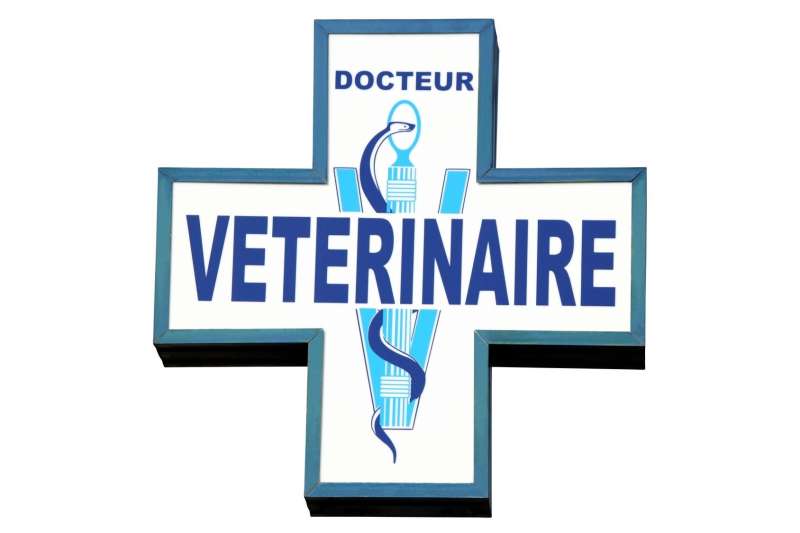 Clinique Vétérinaire - VETOLAC  France Nouvelle-Aquitaine Gironde Lacanau 33680