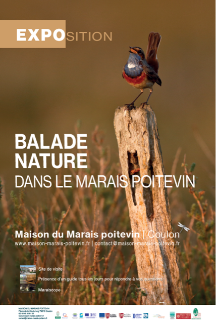 Exposition "Balade nature dans le Marais Poitevin" à la Maison du Marais Poitevin de Coulon null France null null null null