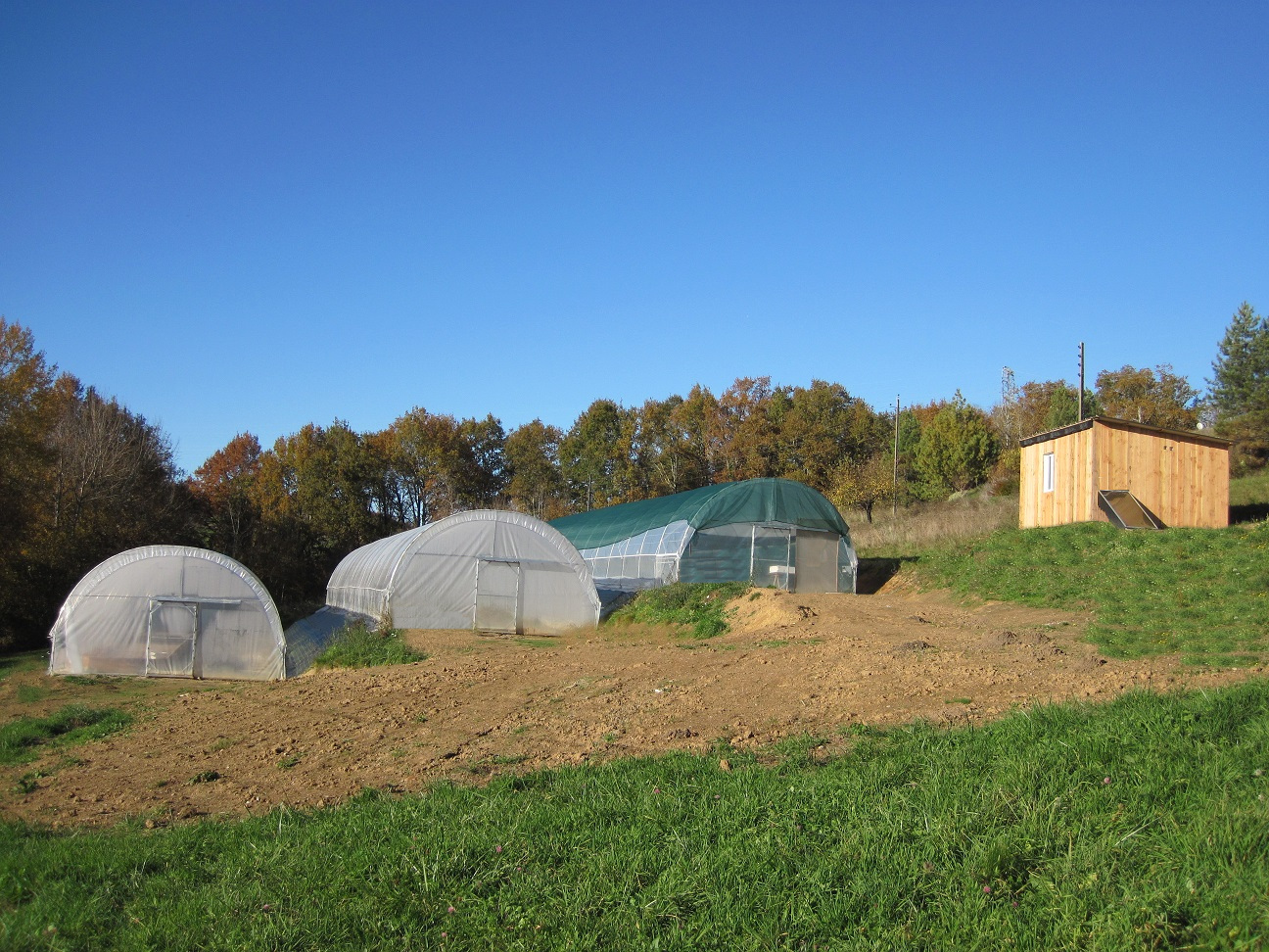 Spiruline des gabariers