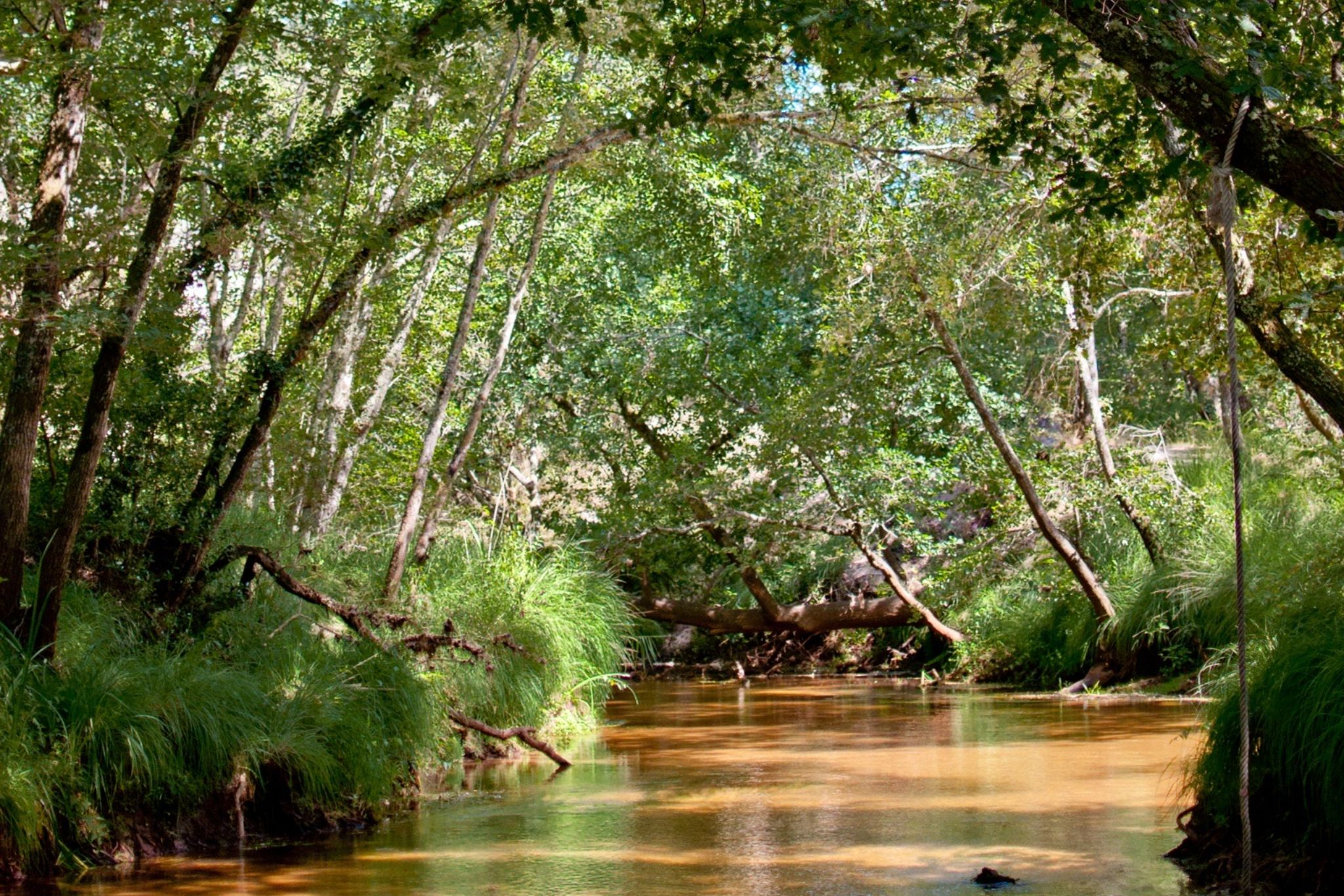 Journée de clôture