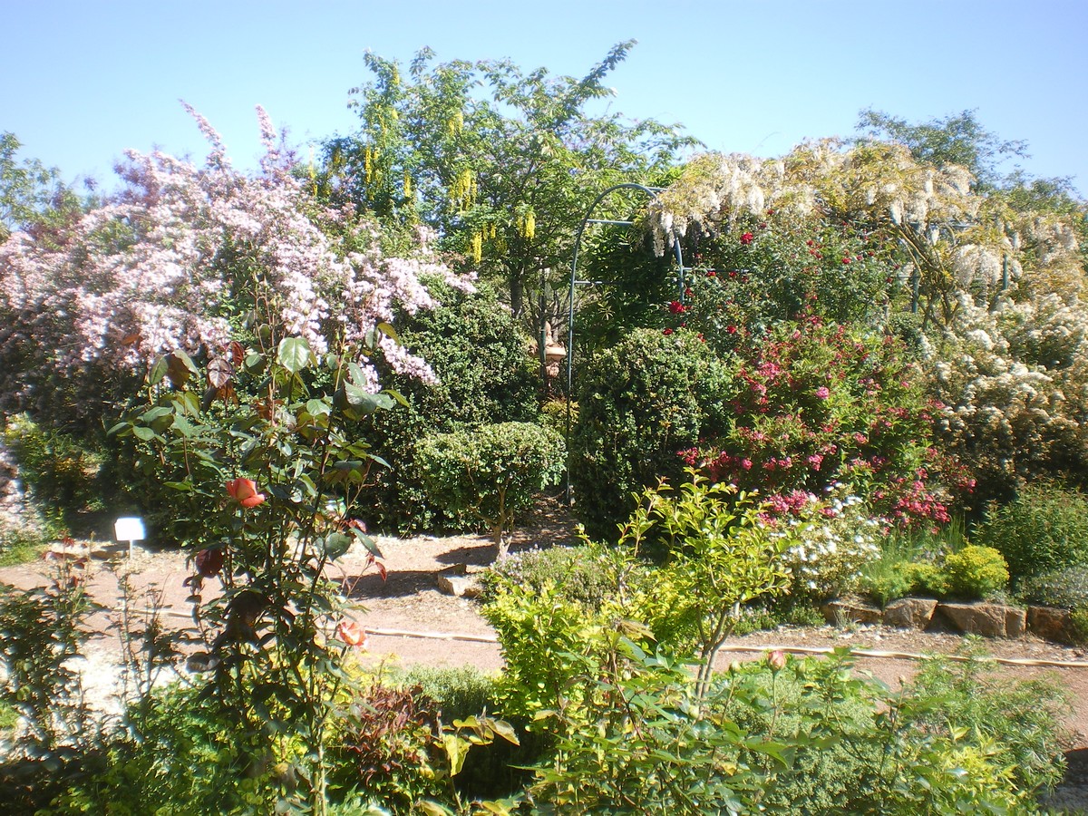 Jardin de Cistus  France Nouvelle-Aquitaine Deux-Sèvres Argentonnay 79300
