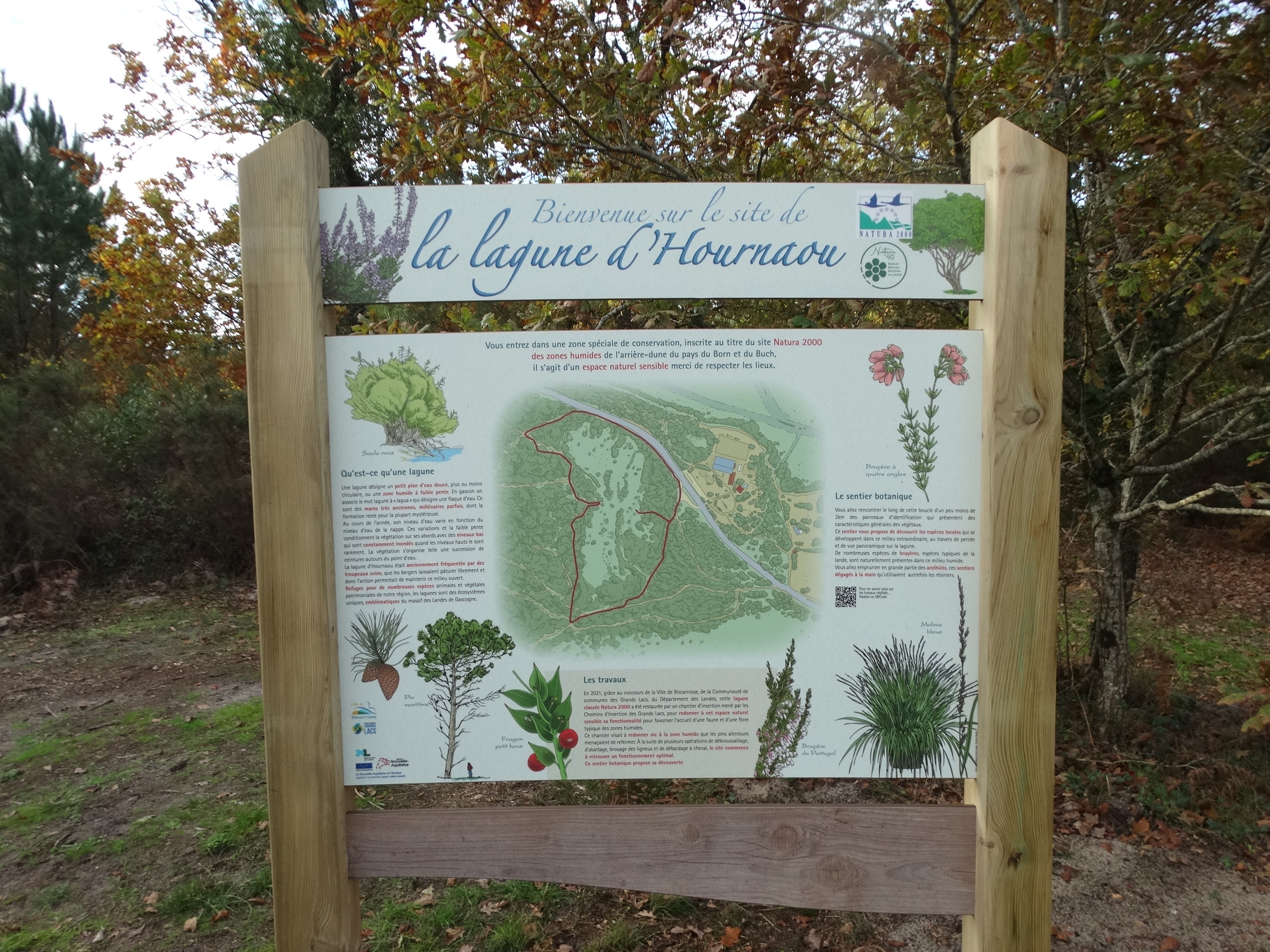 Balade découverte de la lagune d'Hournaou