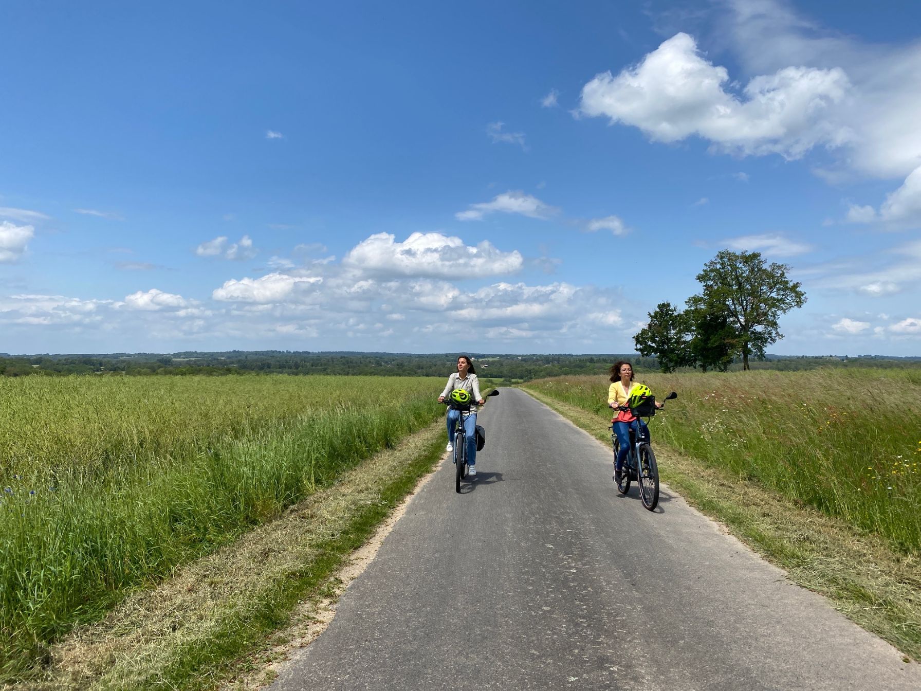 Location de vélos électriques à la journée Du 12 mars au 31 oct 2024