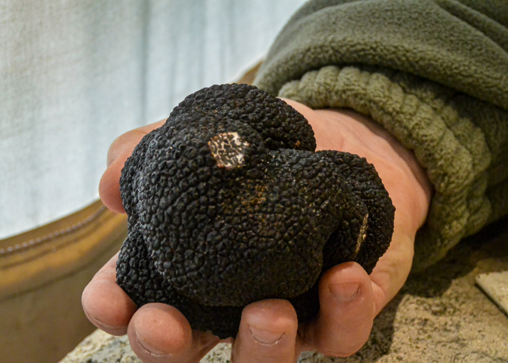 Marchés traditionnels primés au gras et aux truffes (2/2)