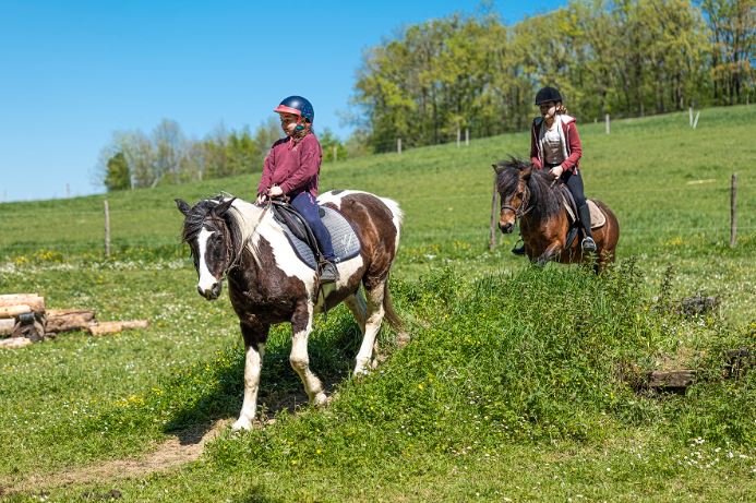 Balade équestre nocturne