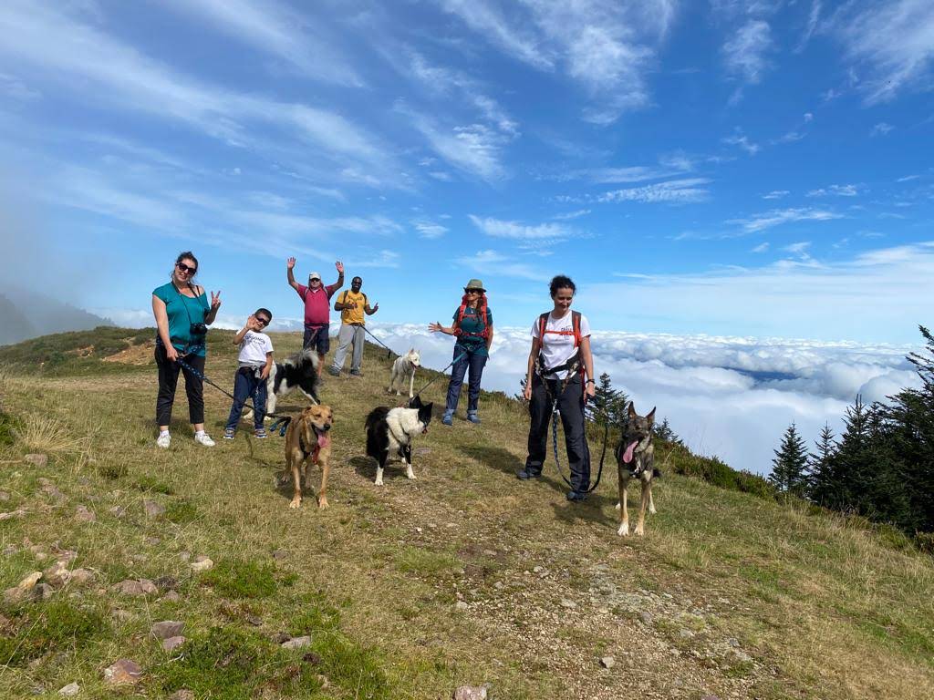 Randonner avec un chien nordique à La Pierre Saint-Martin