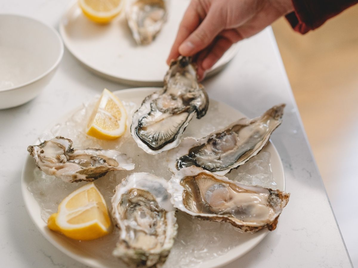 Brunch - huitres et musique