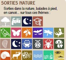 Sortie nature : Nuit de la chauve-souris à Sainte-Ouenne null France null null null null