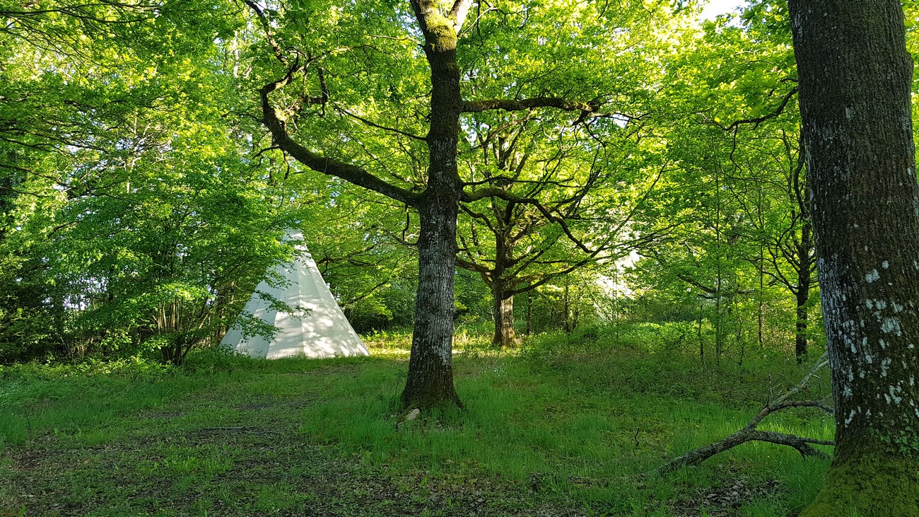 Domaine Chantoiseau - Cabane dans les arbres, Tente trappeur, Tipi  France Nouvelle-Aquitaine Deux-Sèvres Saint-Pierre-des-Échaubrognes 79700