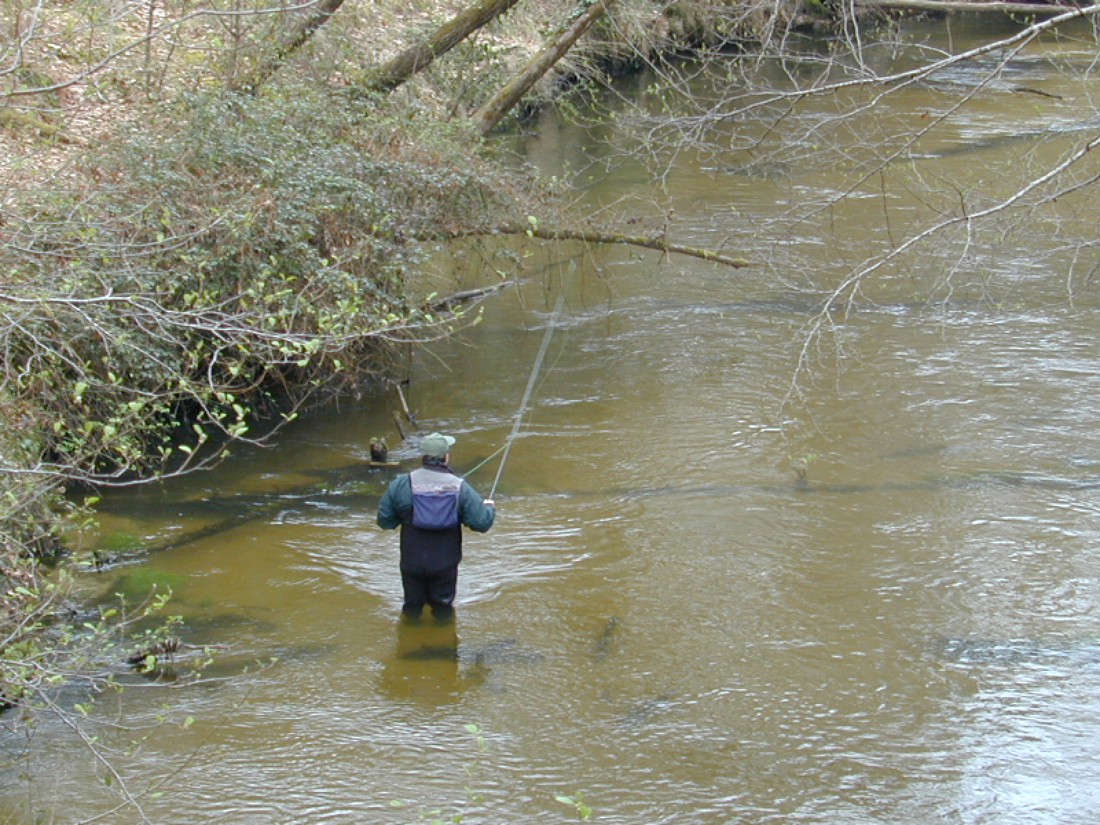 Bojl des pipeaux sur la pêche