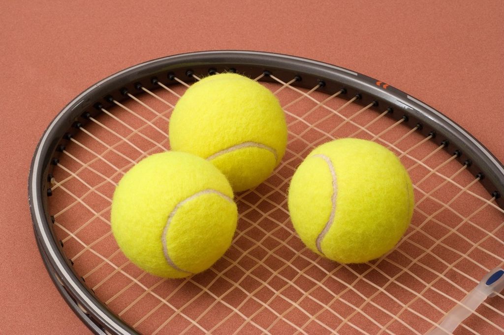 Tournoi de tennis homologué par la fédération française de tennis (1/1)