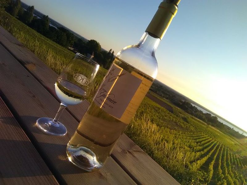 Wine & Sunset au Château Saincrit (1/1)