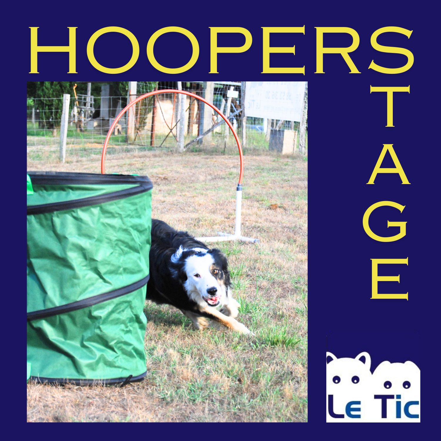 Stage Hoopers (1/1)