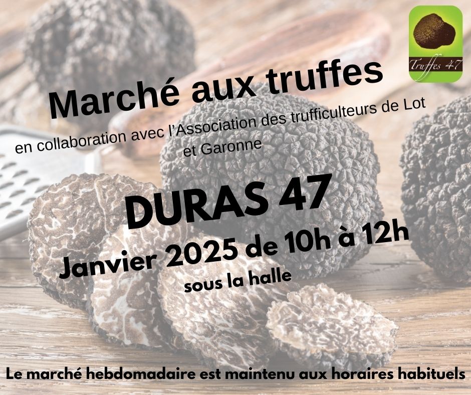 Marché aux truffes à confirmer en janvier 2025 (1/1)