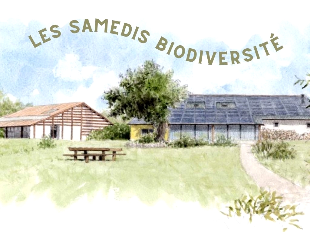 Les Samedis Biodiversité ACTE 2 (1/1)