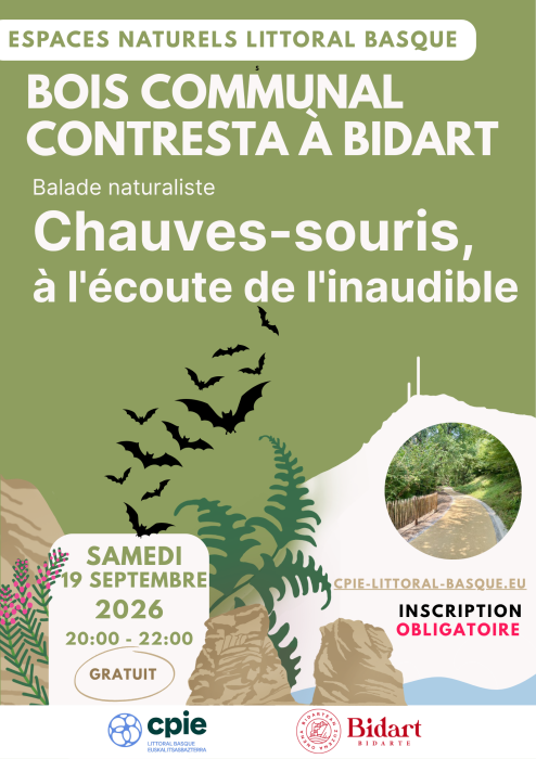 Balade naturaliste : Chauves-souris, à l'écout ...