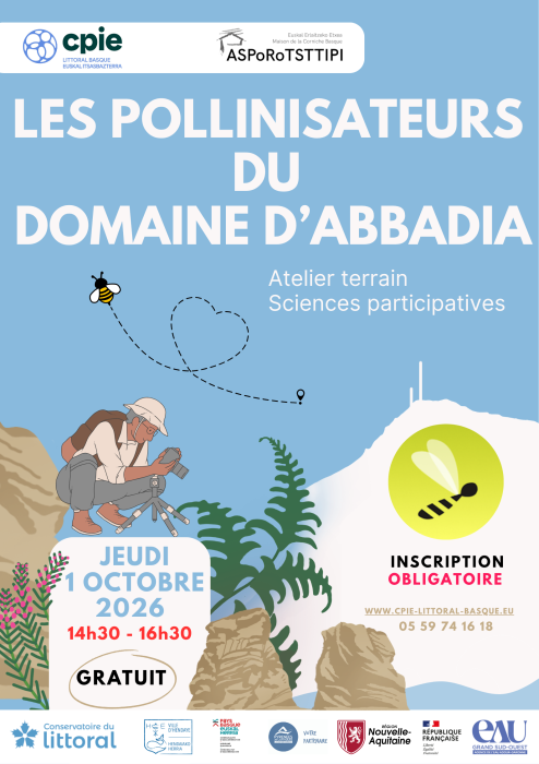 A la découverte des pollinisateurs du domaine  ...