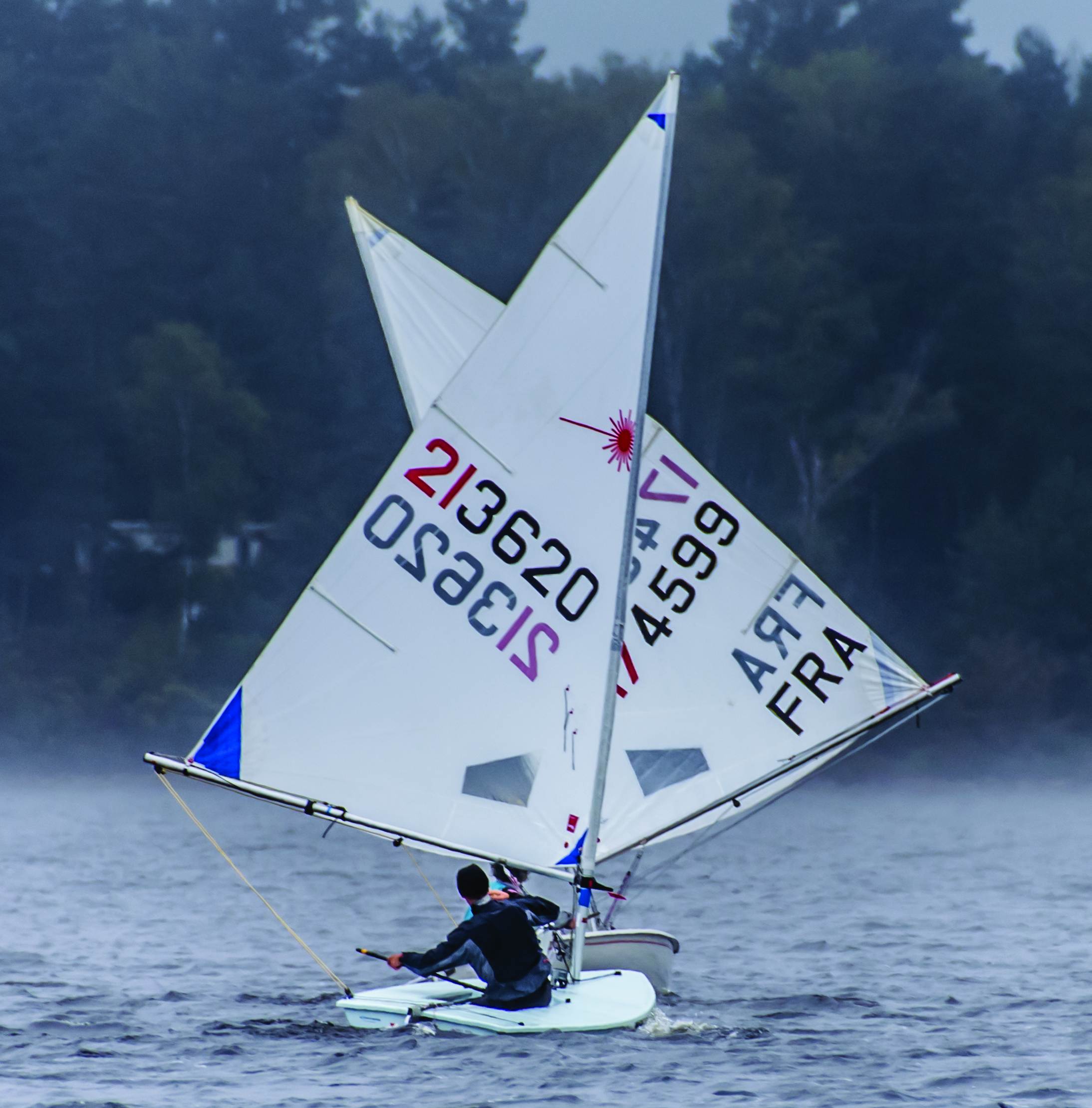 CNV Régate voile légère Optimiste et Lazer (41)