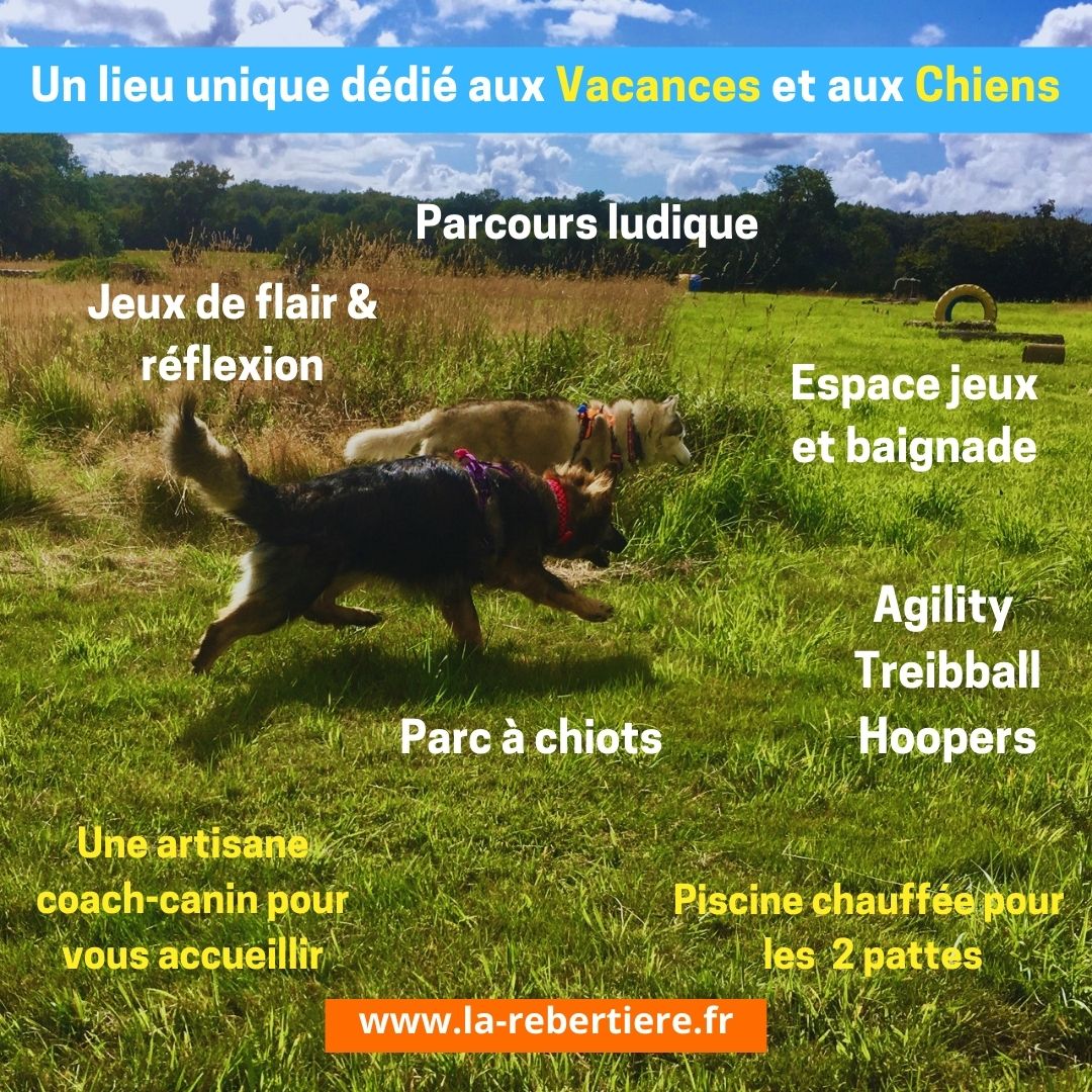 Le Parc Canin de La Rebertière