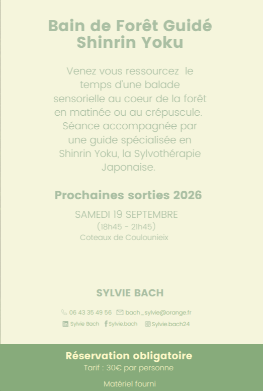 Bain de forêt guidé