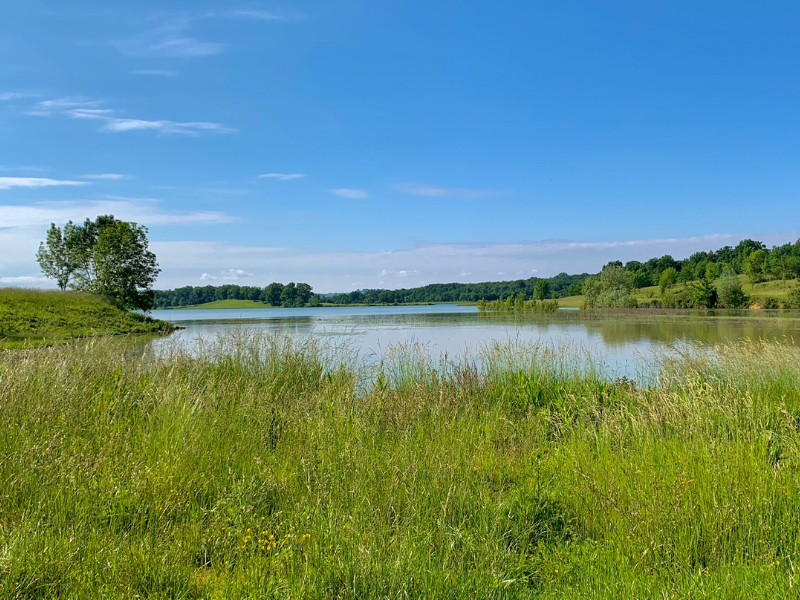 Lac du Brayssou
