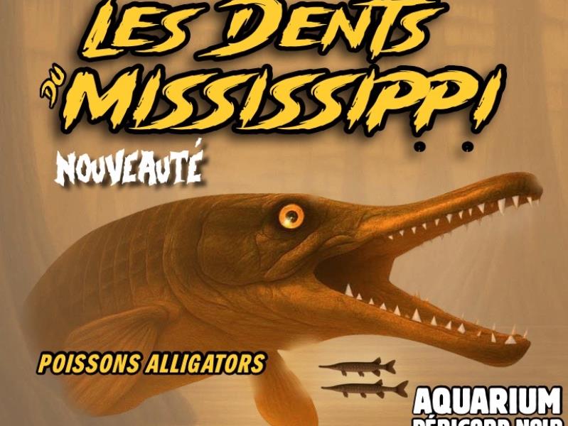 Aquarium du Périgord Noir - Univerland Le Bugue
