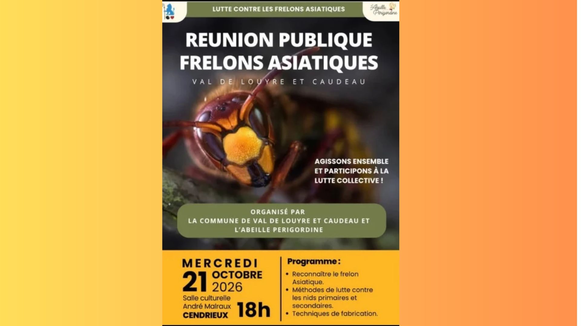 Réunion publique sur les frelons asiatiques