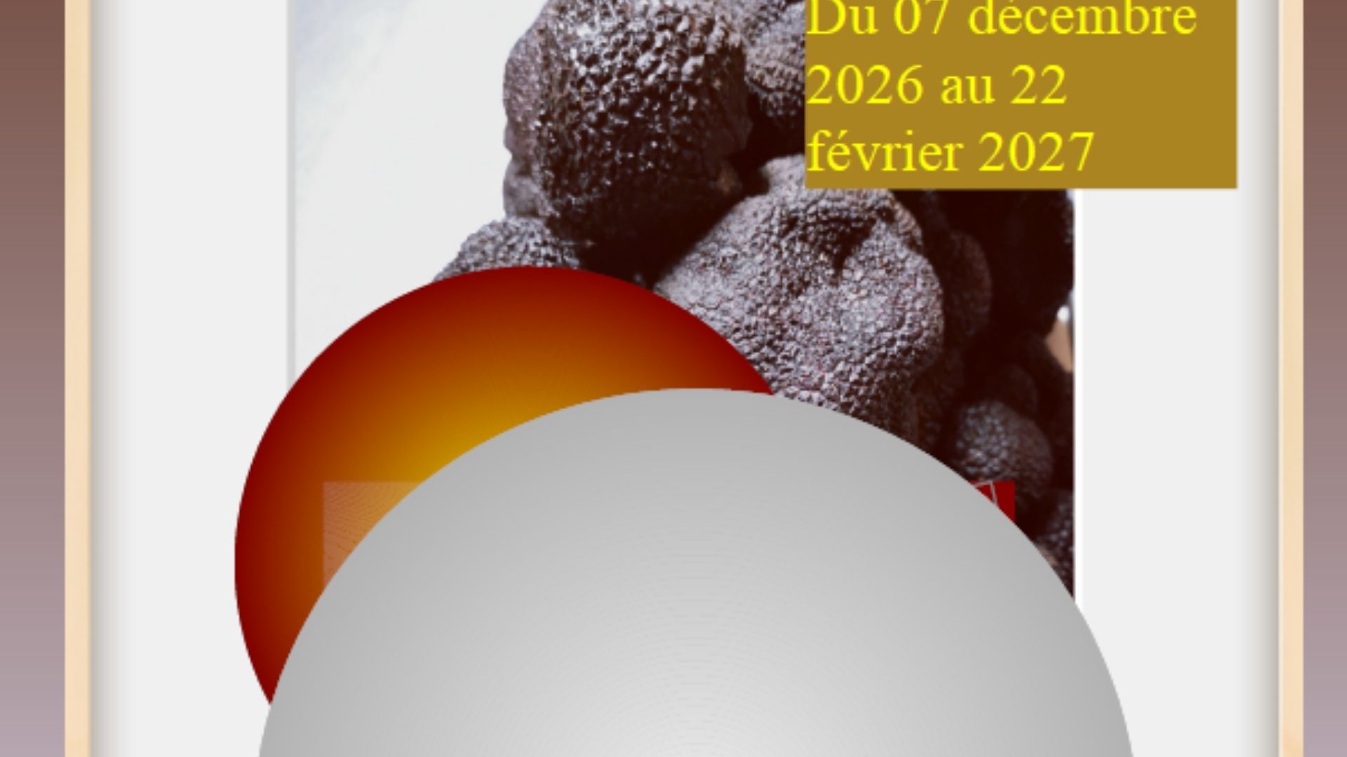 Marché contrôlé aux truffes-VERGT