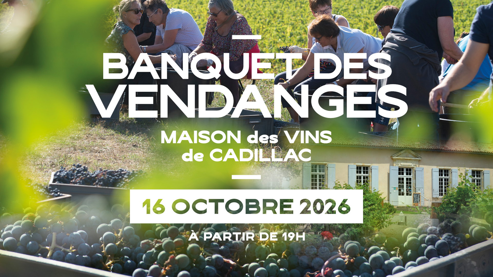 Annulé : Banquet des vendanges à la Maison des Vins de Cadillac