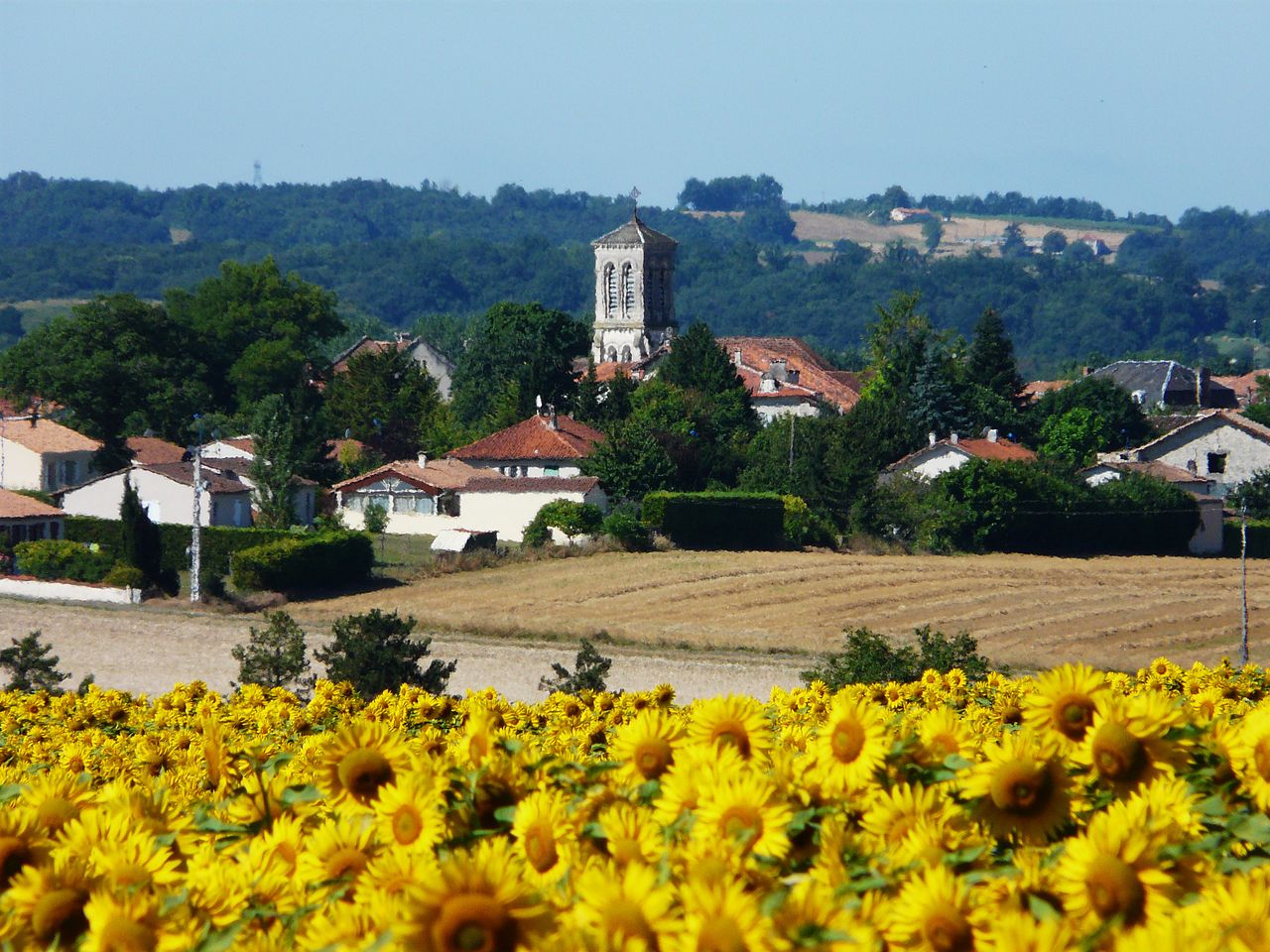 Arrêt sur Village - ROSSIGNOL