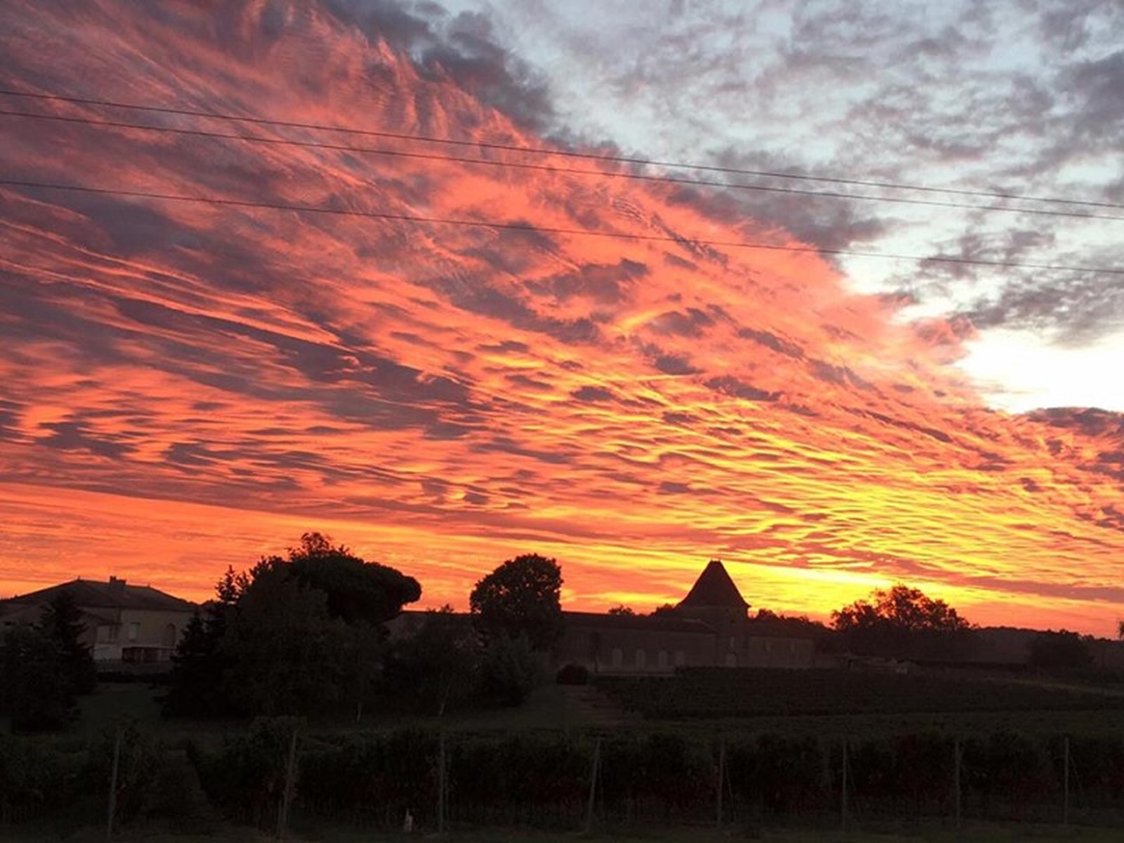 Vignes et Bassin Blasimon