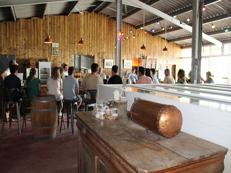 Bar à vin du château Lartigue-Cèdres 