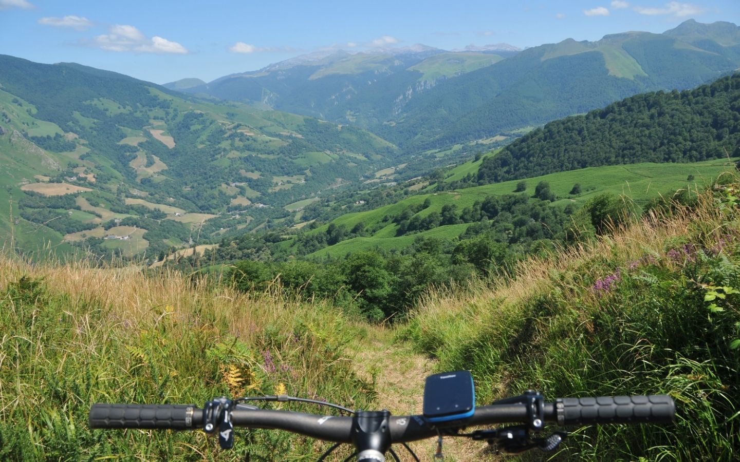 20 - Ükhümürrütia handia VTT