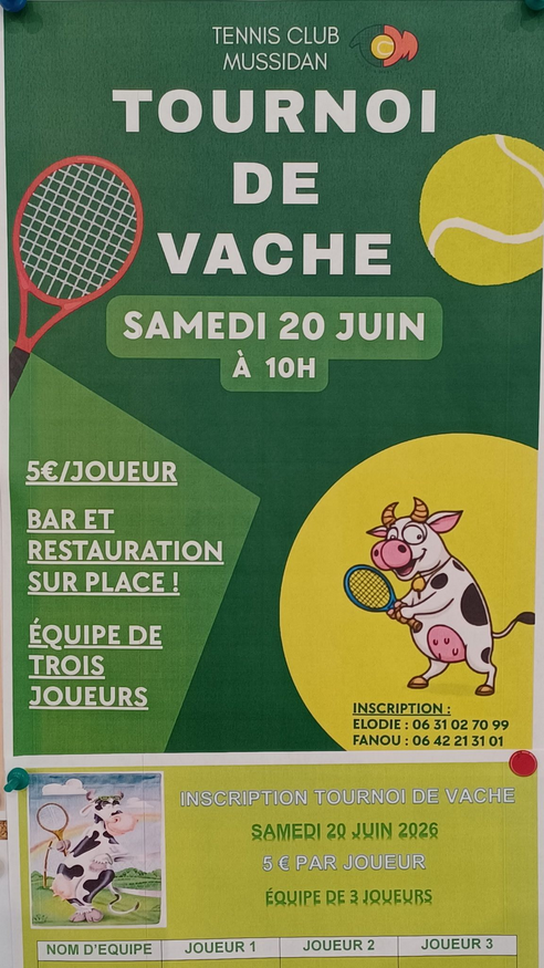 Tournoi de Tennis