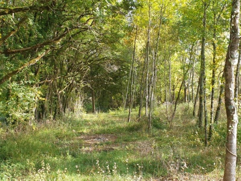 A l'Orée des Bastides - Gîte de Lariot