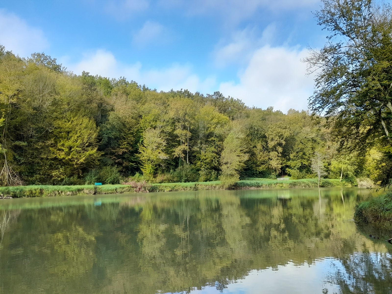 Etang de Caumont