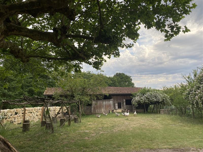 Automne en Scène : A la rencontre d'animaux emblématiques des Landes