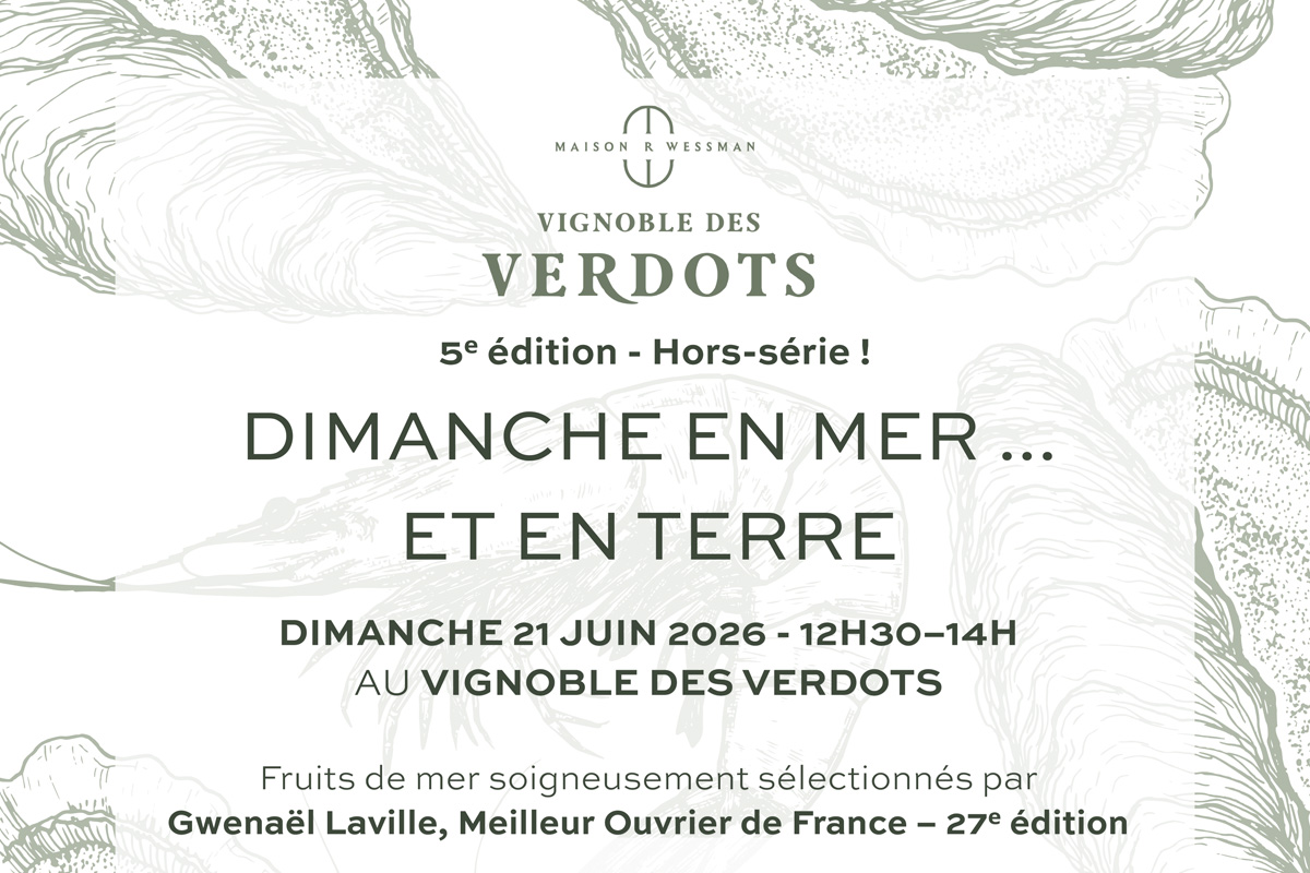 Vignoble des Verdots | Dimanche en Mer… et en  ...