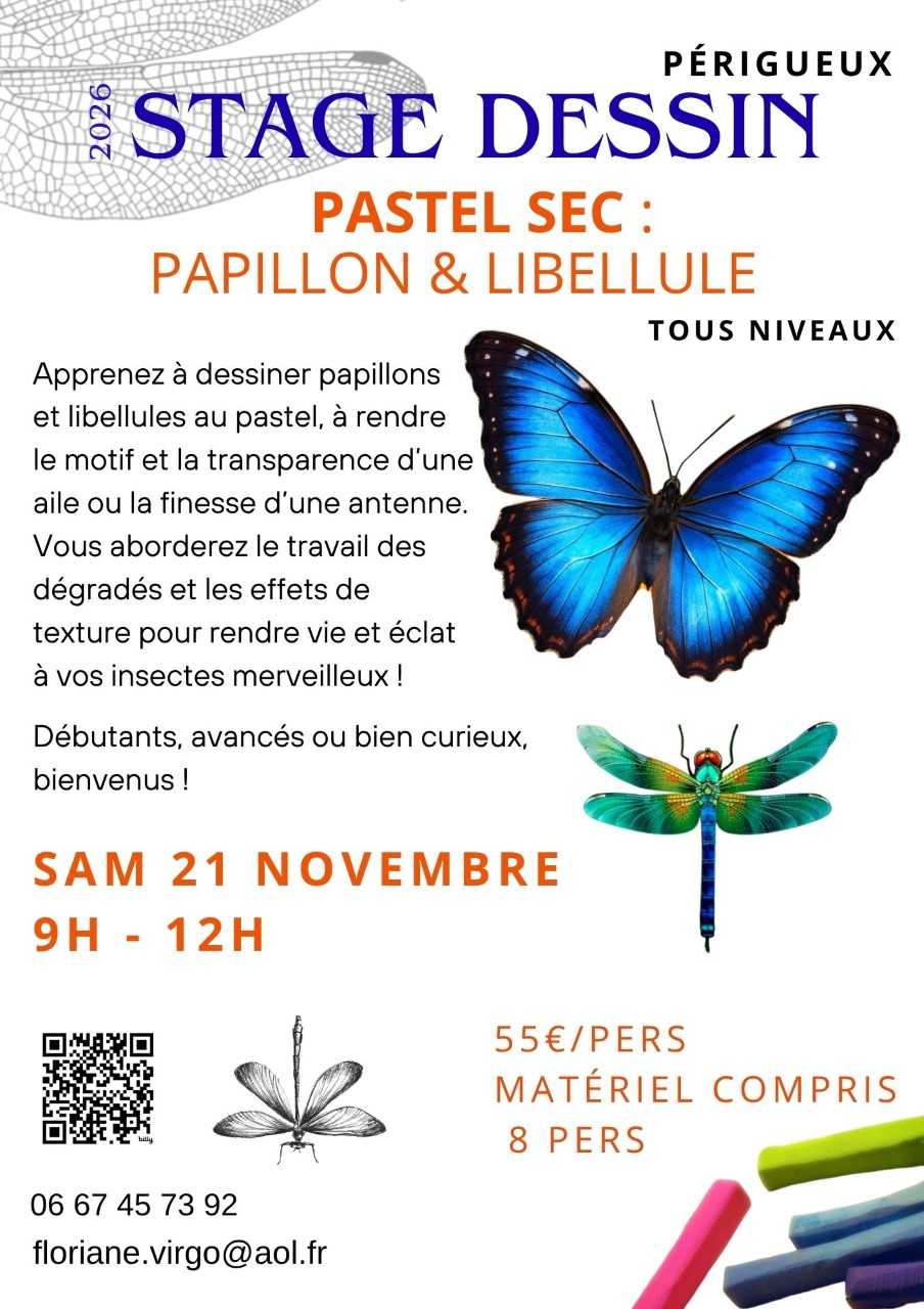 Stage dessin : Pastel sec - Papillon et libell ...