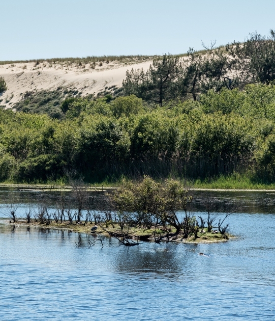 Automne en scène : A la découverte de la forêt et du littoral landais