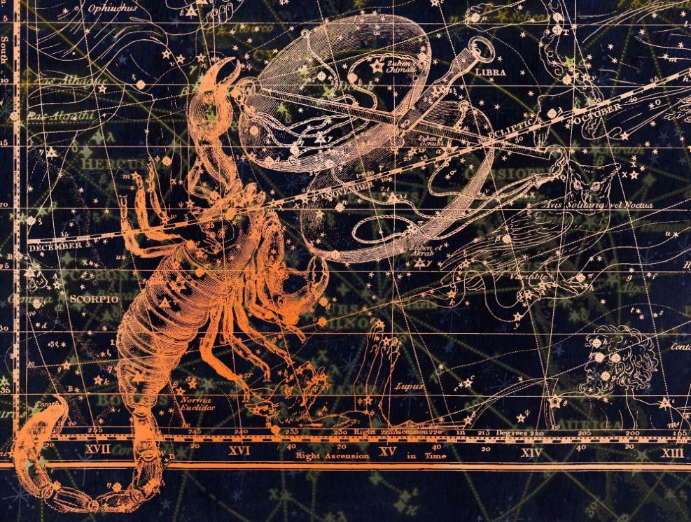 Atelier Astrologie : Présentation du Signe du Scorpion