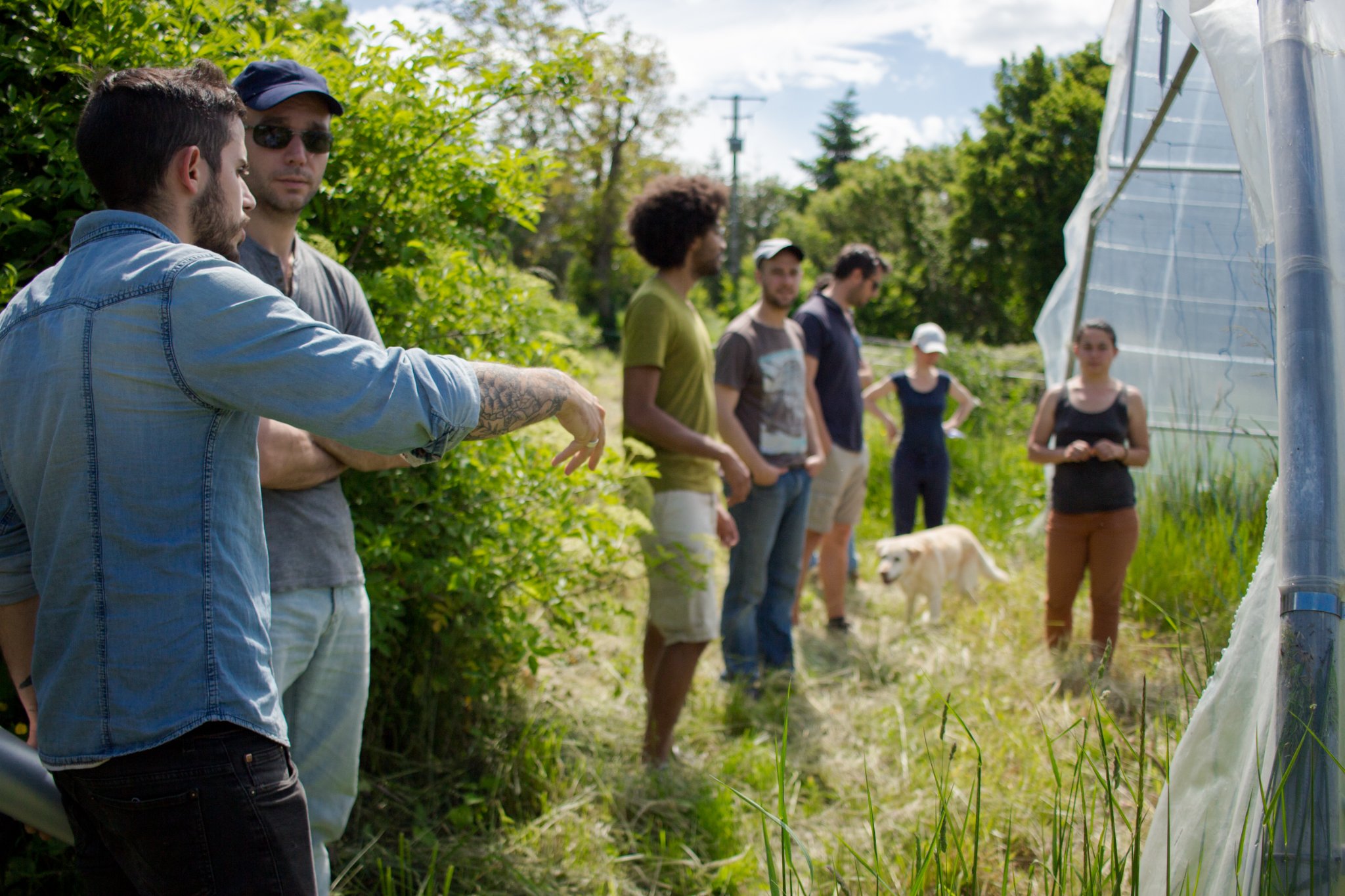 Formation en permaculture