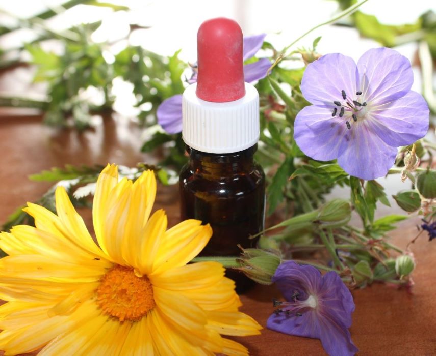 Atelier Élixirs Floraux & Vitalité
