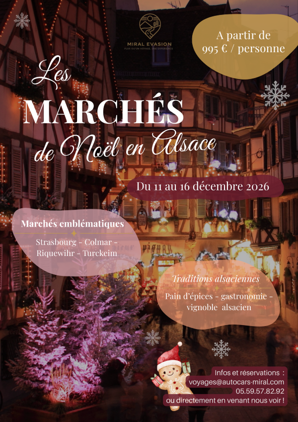 Quand l'Alsace s'illumine pour Noël