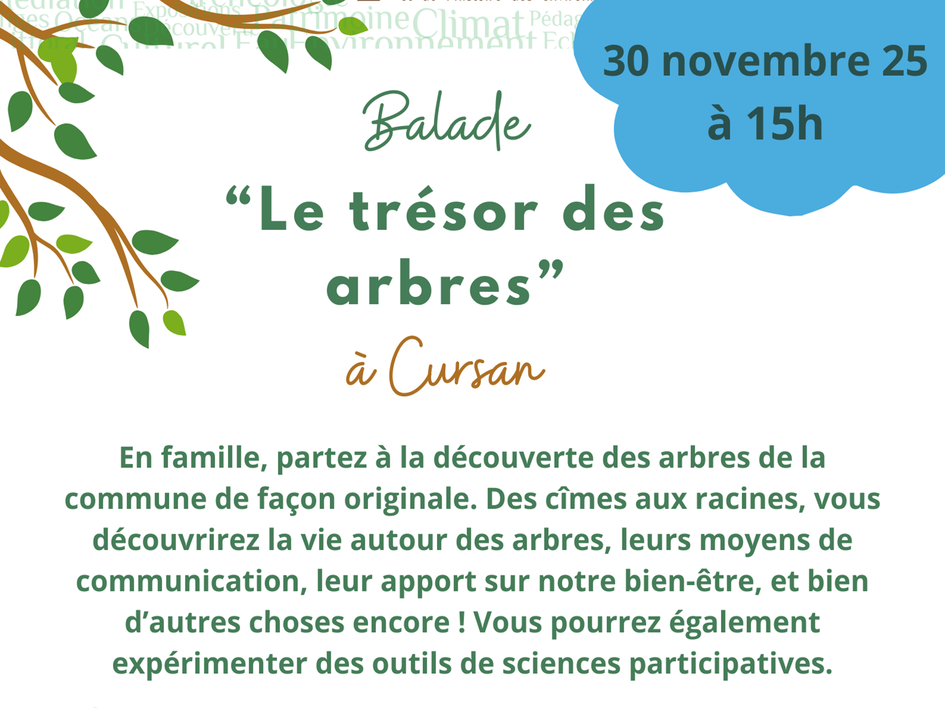 Balade « Le trésor des arbres »