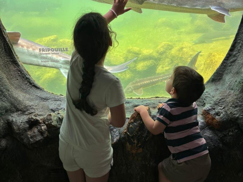 Aquarium du Périgord Noir - Univerland Le Bugue